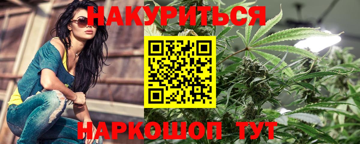 Бошки марихуана ГИДРОПОН  Канабис план  Канабис SATIVA & INDICA  Дзержинск  Вход с VPN 